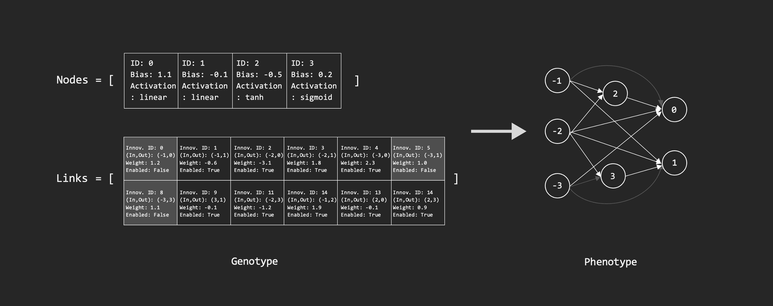 NEAT representations